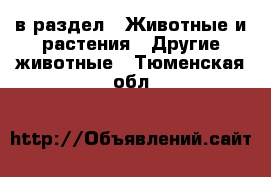  в раздел : Животные и растения » Другие животные . Тюменская обл.